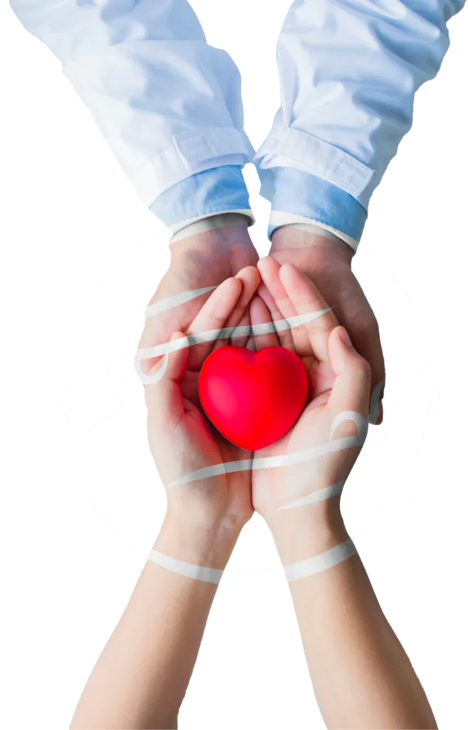 Mãos segurando um coração, simbolizando cuidado e cardioproteção